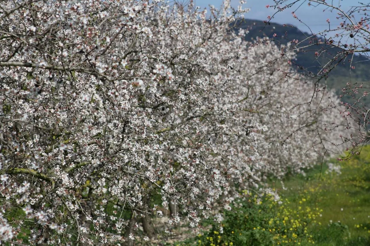 184 Finca Estret Etv3644 By Mallorca Charme Santa Margalida Prázdninový dům